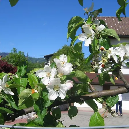 شقة كريستان بليد