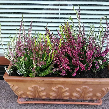 شقة كريستان