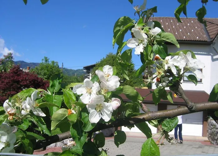 アパート Kristan ブレッド