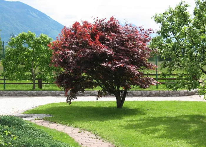 Appartamento Kristan *